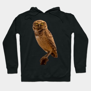 cute owl Hoodie